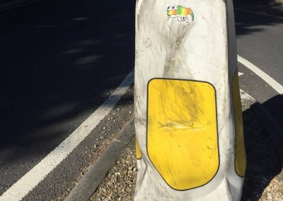 Don't Rain Skateboarding sticker Rainbow lizard