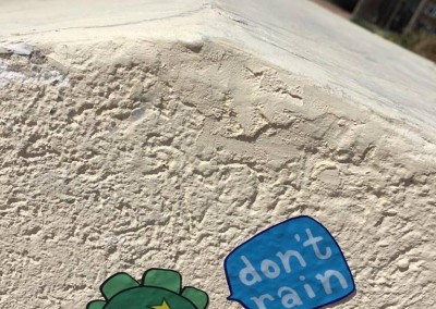Don't Rain Skateboarding sticker Hastings