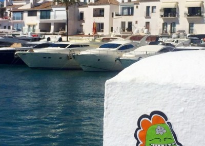 Don't Rain Skateboarding sticker Marbella